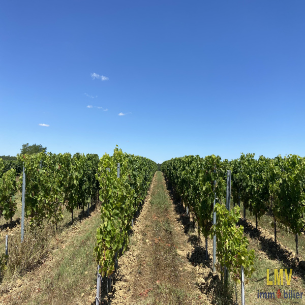 Offres de vente Terrain Lussac 33570