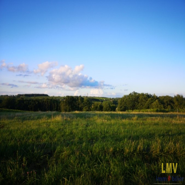 Offres de vente Terrain Auriolles 33790