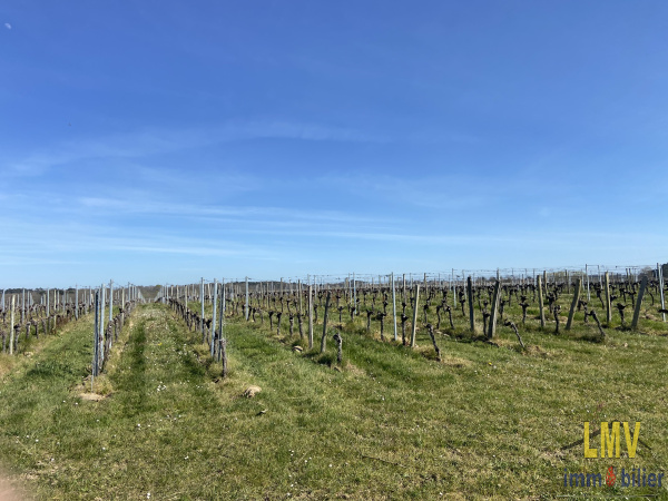 Offres de vente Terrain Lussac 33570