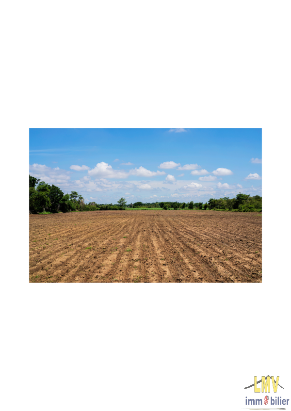 Offres de vente Terrain agricole Noaillac 33190
